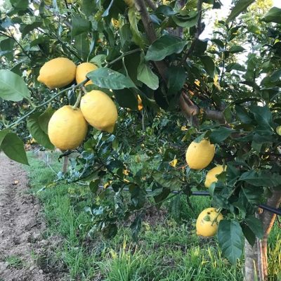 415156089_821832149744607_6200083143209892961_n