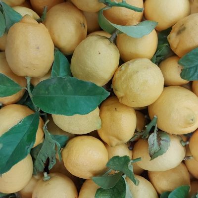 416049455_821832096411279_6219564809554220824_n