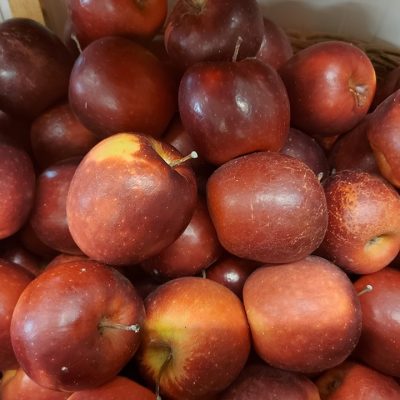 421947031_835757231685432_4060578058804083331_n